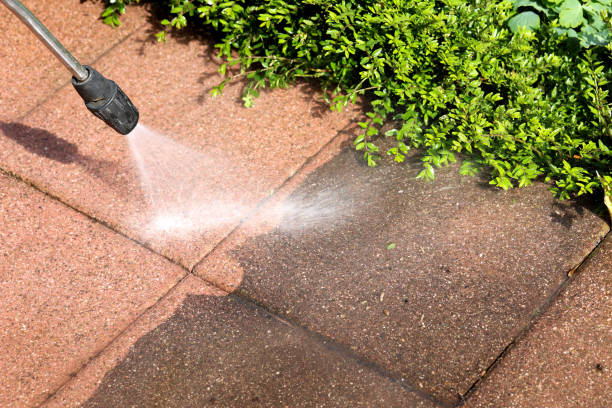 Best Pressure Washing Near Me  in South Gate Ridge, FL